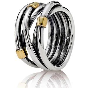 14k Gold Two Toned Retired PANDORA Ring